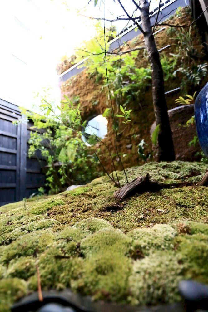 Usaginonedoko Holiday home